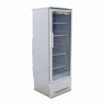 Холодильный шкаф Бирюса 310 